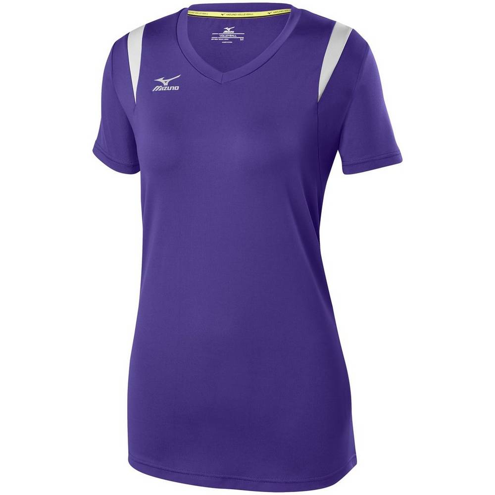 Maglia Mizuno Pallavolo Balboa 5.0 Long Sleeve Donna - Viola/Argento - 75092-HEJW